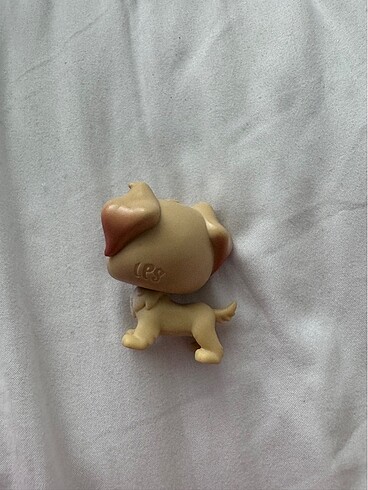  lps köpek miniş
