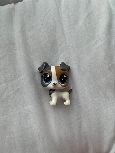 lps köpek miniş