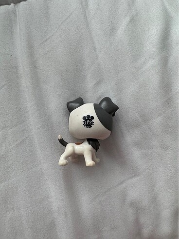  lps köpek miniş