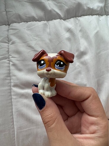 lps köpek miniş
