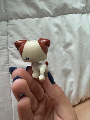 lps köpek miniş