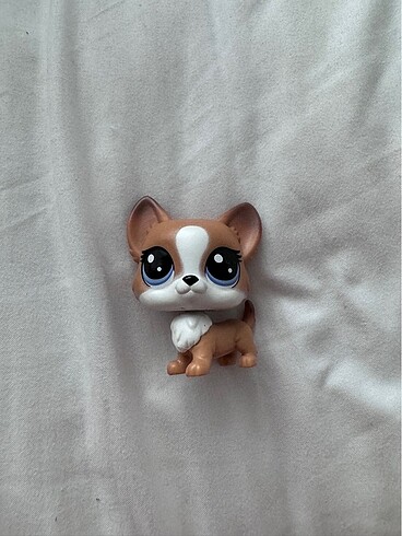 lps köpek miniş