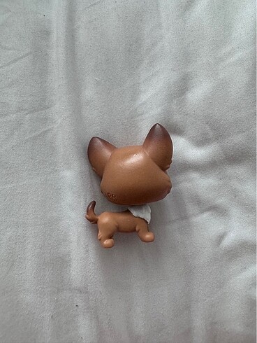  lps köpek miniş