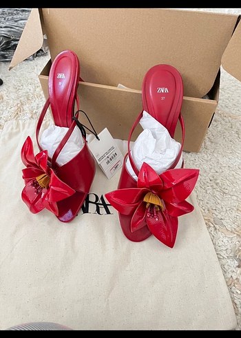 zara 36