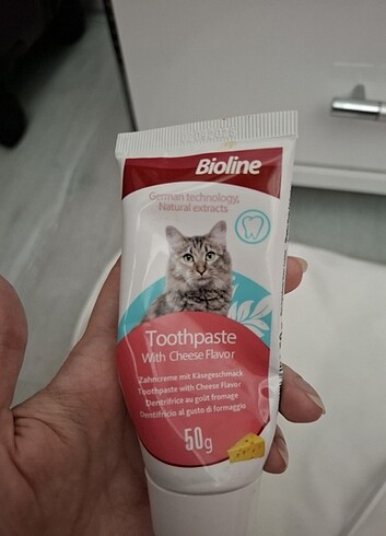  Beden Kedi diş macunu ve fırçası 