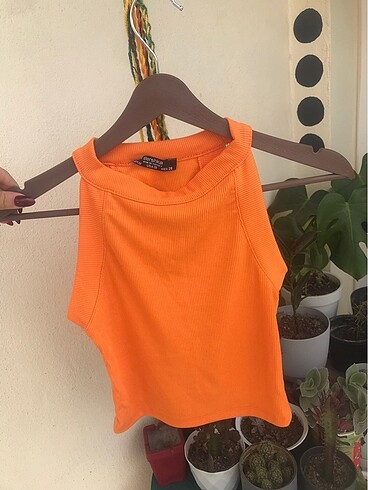 Halter yaka krop