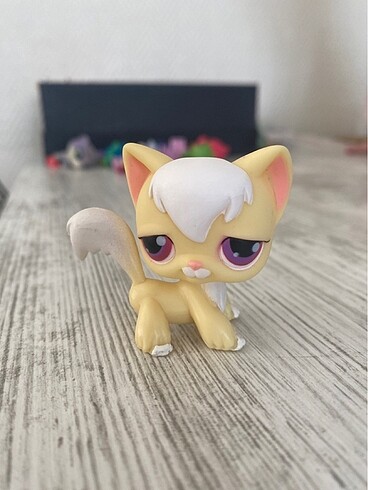 Lps Kedi Miniş