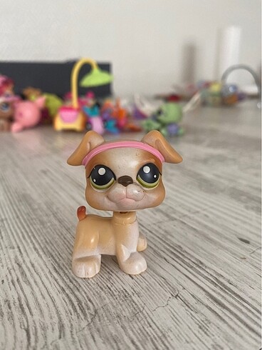 Lps Köpek Miniş
