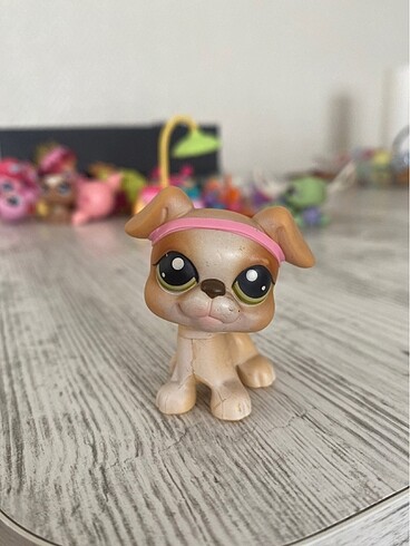 Beden Lps Köpek Miniş