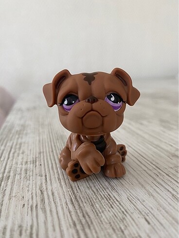 Lps Bulldog Köpek Miniş