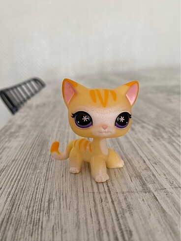 Lps Shorthair Kedi Miniş