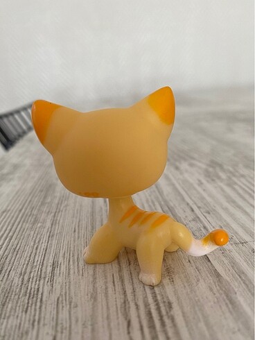  Lps Shorthair Kedi Miniş