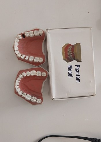 Fantom çene