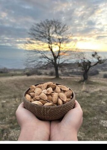 Kabuklu Badem - Görsel 3
