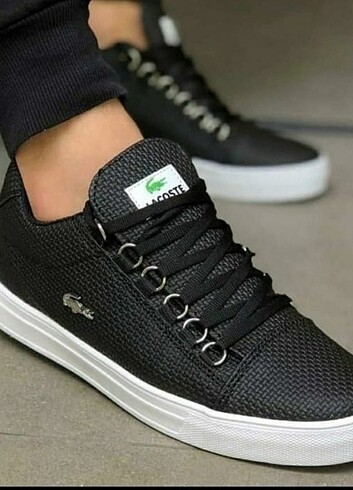 #ERKEK Lacoste