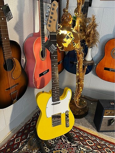 Telecaster Özel Yapım CustoM Elektro ????