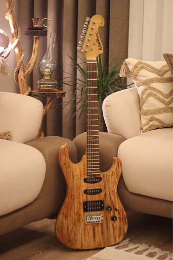 Washburn Özel Custom Elektro