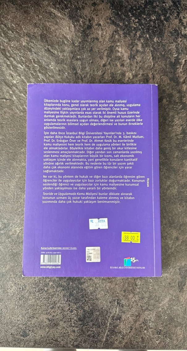 Teoride ve Uygulamada Kamu Maliyesi Kitabı - Görsel 2