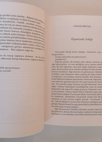 İstanbul Sokakları - 101 Yazardan 100 Sokak - Görsel 10