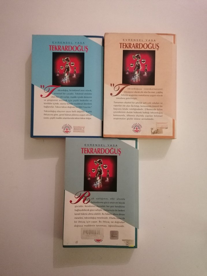Evrensel Yasa Tekrardoğuş 3 Cilt Takım - Görsel 2