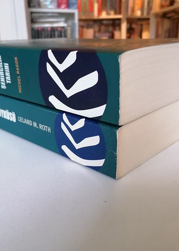 Mimarlığın Öyküsü Modern Mimarlık ve Şehircilik Tarihi - Görsel 2