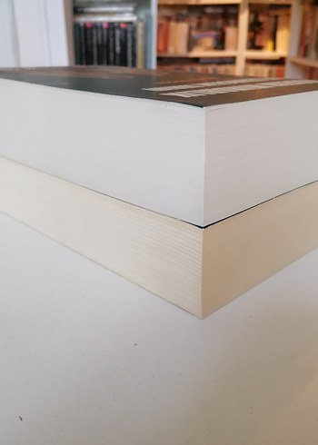 Mimarlığın Öyküsü Modern Mimarlık ve Şehircilik Tarihi - Görsel 4