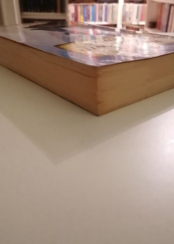 George MacDonald Kuzey Rüzgarı'nın Ardında - Görsel 5