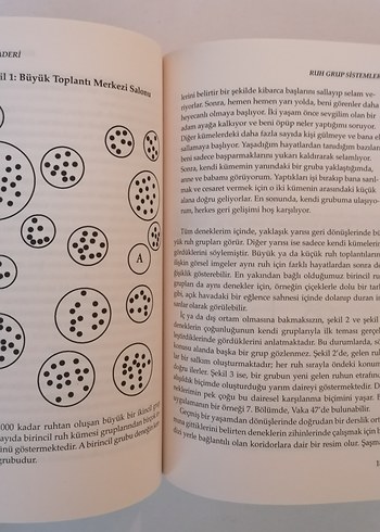 Michael Newton Ruhların Kaderi - Görsel 8