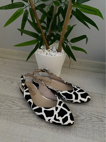 Zebra desen babet