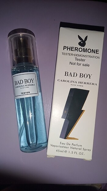 Bad Boy