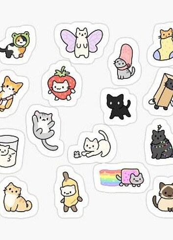 sticker kedi