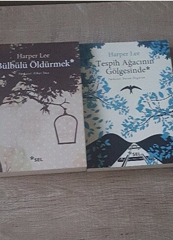 Harper Lee -- Bülbülü Öldürmek, Tespih Ağacının Gölgesinde 