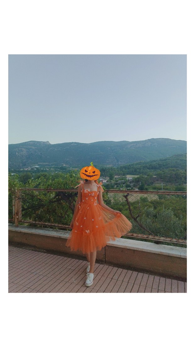Turuncu  tül abiye elbise çiçek ve kelebek detaylı - Görsel 3