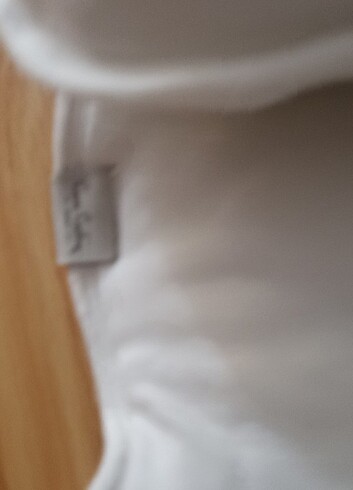 Puset yatağı - Görsel 4