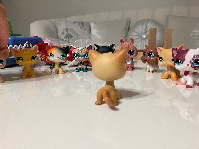 Lps miniş