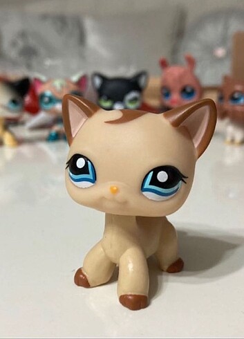 Lps Miniş Kedi