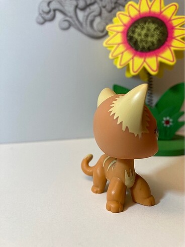 Beden Renk Lps Miniş Kedi