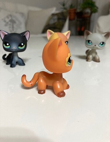 Beden Renk Lps Miniş Kedi