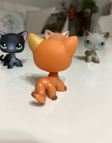 Beden Lps Miniş Kedi