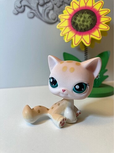 Lps Miniş Kedi