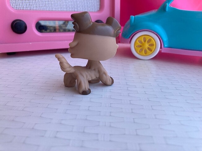 Beden Lps Miniş Pet