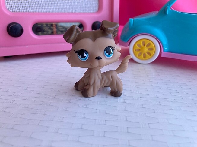 Lps Miniş Pet
