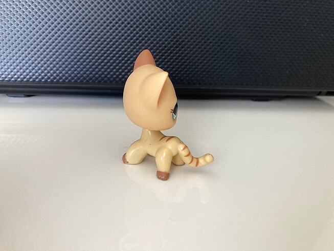 Beden Renk Lps Minişler