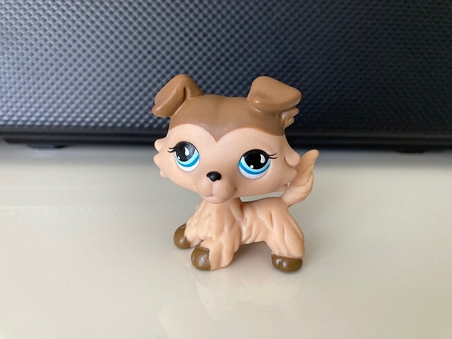 Lps Minişler