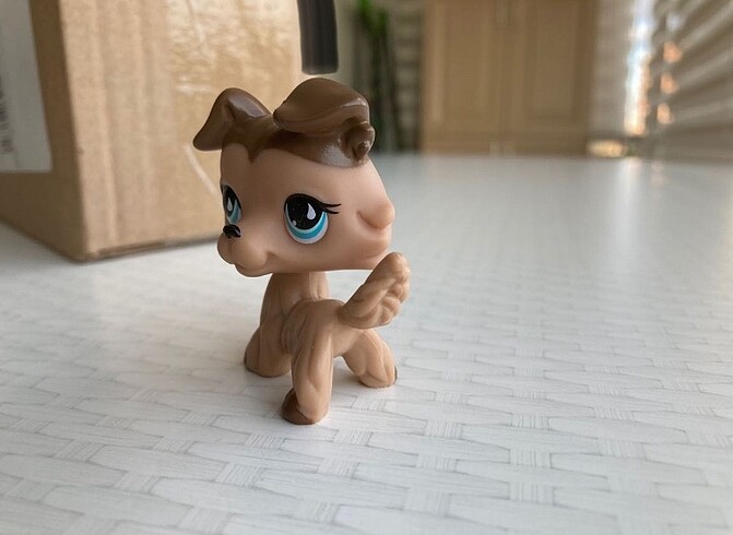 LPS Minişler Miniş Collie Köpek