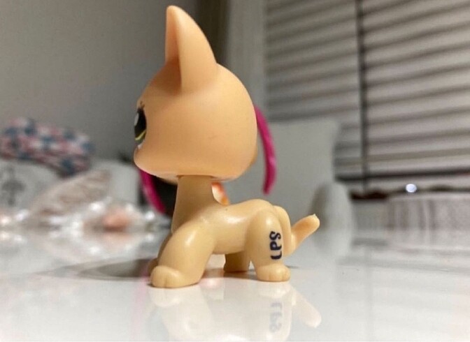 Beden Lps Miniş Kedi