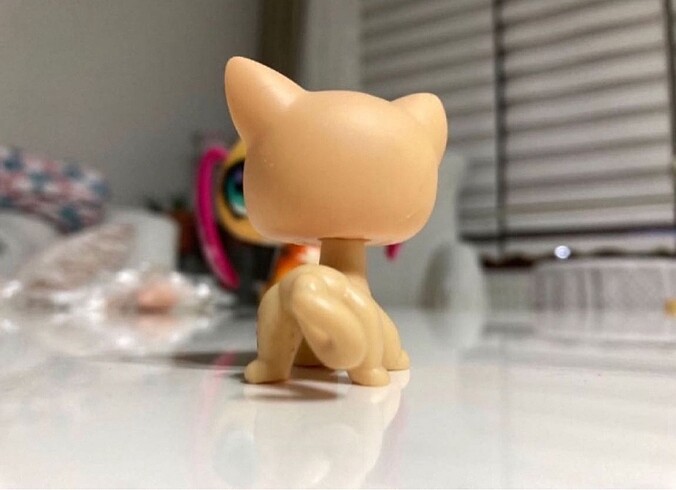 Beden Renk Lps Miniş Kedi