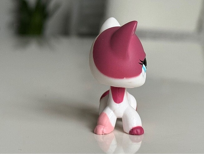  Beden Renk Lps Miniş Kedi Short Hair
