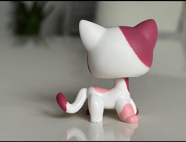  Beden Lps Miniş Kedi Short Hair