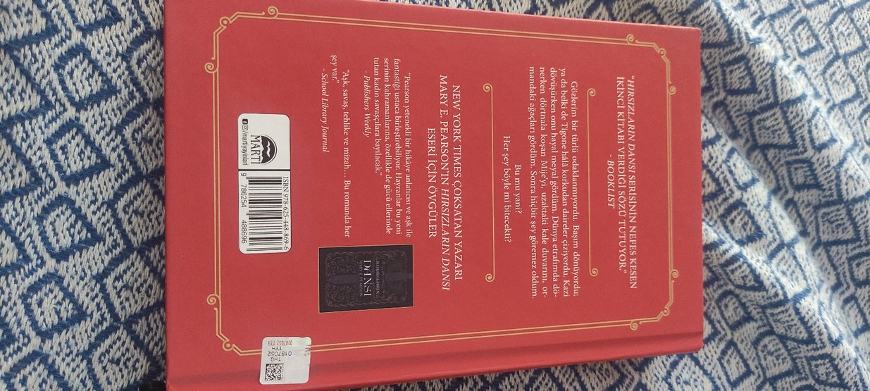 Hırsızların Yemini - Mary E. Pearson - Görsel 2